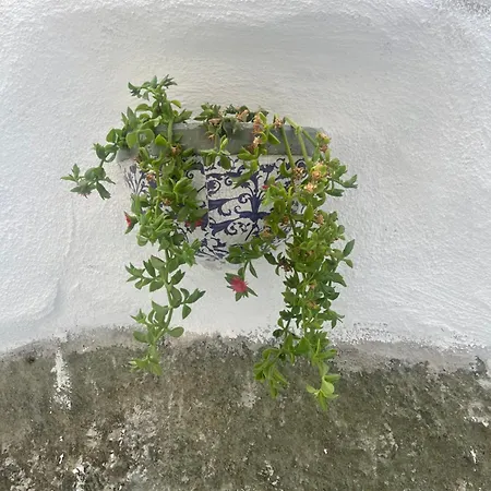 Apartment Casa Delle Rose *